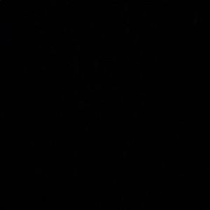 Meet your Posher, Max